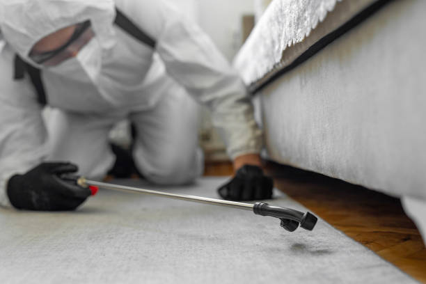 Professional Bed Bug Control technician working in Washington, NC
